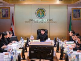 เกษตรฯ ลุยยกระดับมาตรฐานสินค้า! ดัน 5 ร่างกฎหมายคุมส่งออก-นำเข้า พร้อมคลอด 5 มาตรฐานใหม่ เน้น ‘ขมิ้นชันแห้ง-อาหารสัตว์ผสมยา’ เพิ่มขีดแข่งขันตลาดโลก