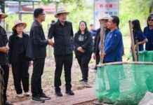 “รองฯ พงศ์ไท” เปิดอบรมผู้ตรวจรับรอง Q Canteen ชัยภูมิ ปักหมุดต้นแบบ “ชัยภูมิโมเดล” โรงเรียนอาหารปลอดภัย หนุนนโยบาย “สร้างรายได้ สร้างตลาด ขยายโอกาสสินค้า” มุ่งขยายตลาดสินค้า Q