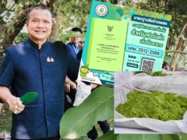 ญี่ปุ่น-ไทยร่วมผลักดันเกษตรกรรมลดก๊าซเรือนกระจก ผ่านระบบฉลากสิ่งแวดล้อม “Mieruka” มุ่งสู่เป้าหมายคาร์บอนสุทธิเป็นศูนย์ พร้อมจับตา “ผำ” ถูกจัดเป็นศัตรูพืชกักกันใหม่ ญี่ปุ่นห้ามนำเข้าสินค้าเกษตรไทยที่ปนเปื้อน