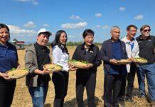 “คุณหญิงกัลยา” ดัน ‘นาเพียงโมเดล” จ.ขอนแก่น ต้นแบบบริหารจัดการน้ำโดยชุมชน’ แก้ปัญหาน้ำอีสานครบวงจร