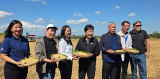 “คุณหญิงกัลยา” ดัน ‘ชุมแพโมเดล” จ.ขอนแก่น ต้นแบบบริหารจัดการน้ำโดยชุมชน’ แก้ปัญหาน้ำอีสานครบวงจร