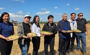 “คุณหญิงกัลยา” ดัน ‘นาเพียงโมเดล” จ.ขอนแก่น ต้นแบบบริหารจัดการน้ำโดยชุมชน’ แก้ปัญหาน้ำอีสานครบวงจร