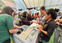 มกอช. ร่วมมหกรรม “เกษตรไทยก้าวสู่อนาคต” ชูมาตรฐานยกระดับคุณภาพสินค้าเกษตรไทย พร้อมเปิดตัว “ไอศกรีมผำ” อาหารแห่งอนาคต