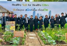 อธิบดีพด. “ดร.สุมิตรา “ พาเที่ยวงาน “วันดินโลก ปี 2568” ภายใต้แนวคิด ดินที่สมบูรณ์ สู่เมืองที่สมดุล เกื้อกูลชีวิต