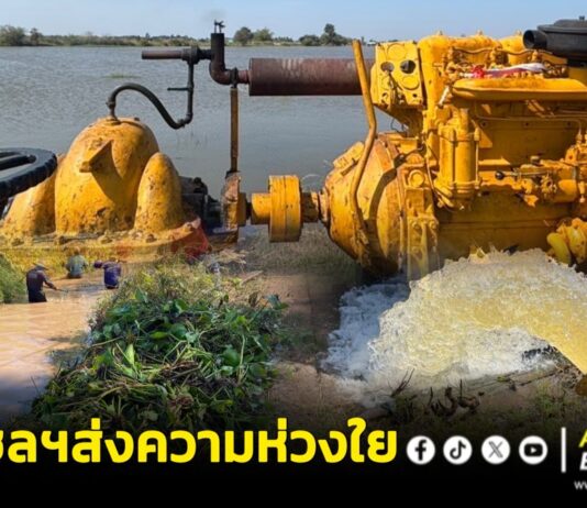 เริ่มปีใหม่ แต่ความห่วงใยยังเหมือนเดิม