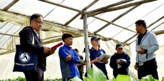 มกอช. เดินหน้าสร้างพี่เลี้ยงเกษตรอินทรีย์มืออาชีพ ถ่ายทอดมาตรฐาน QMS–ISO 9001:2015 เสริมระบบตรวจรับรอง ช่วยเกษตรกรก้าวข้ามข้อจำกัด สร้างความเชื่อมั่นสินค้าเกษตรไทยในตลาดสากล