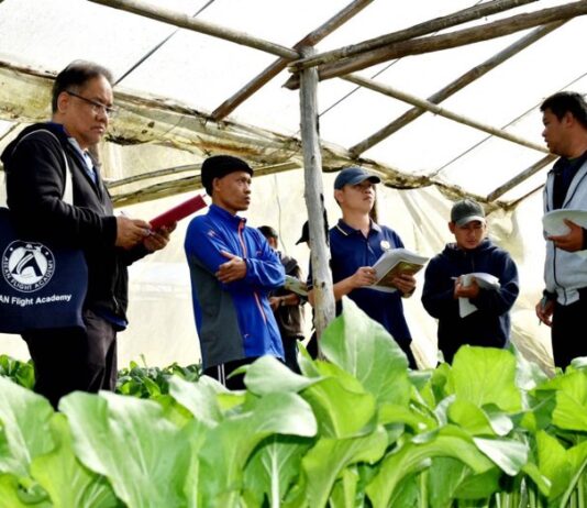 มกอช. เดินหน้าสร้างพี่เลี้ยงเกษตรอินทรีย์มืออาชีพ ถ่ายทอดมาตรฐาน QMS–ISO 9001:2015 เสริมระบบตรวจรับรอง ช่วยเกษตรกรก้าวข้ามข้อจำกัด สร้างความเชื่อมั่นสินค้าเกษตรไทยในตลาดสากล