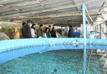 มกอช. ตรวจติดตามการขับเคลื่อนโครงการการพัฒนาฟาร์มเพาะเลี้ยงสัตว์น้ำตามมาตรฐาน GAP มกษ. 7436-2563