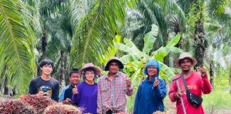 ชุมนุมสหกรณ์ชาวสวนปาล์มน้ำมันกระบี่ จำกัด พลิกฟื้นด้วยเงินสนับสนุนจากกองทุนพัฒนาสหกรณ์ ปี 68 กลับมาทำกำไร 104.5 ล้านบาท หลังขาดทุนสะสมต่อเนื่องมานานหลายปี