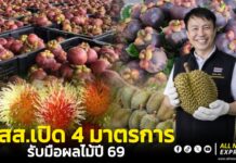 กรมส่งเสริมสหกรณ์เปิด 4 มาตรการรับมือผลไม้ปี 2569 หนุนสหกรณ์ชาวสวนผลิตสินค้าเกษตร GIเตรียมจับมือห้างโมเดินเทรดส่งผลไม้คุณภาพจากสหกรณ์เข้าห้างเจาะตลาดผู้บริโภคในประเทศ