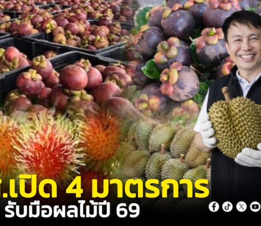 กรมส่งเสริมสหกรณ์เปิด 4 มาตรการรับมือผลไม้ปี 2569 หนุนสหกรณ์ชาวสวนผลิตสินค้าเกษตร GIเตรียมจับมือห้างโมเดินเทรดส่งผลไม้คุณภาพจากสหกรณ์เข้าห้างเจาะตลาดผู้บริโภคในประเทศ