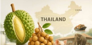 มกอช. เปิดให้บริการตรวจคำขอส่งออกสินค้าเกษตรผ่านระบบ TAS-License เดือนเมษายน 2569 ไม่หยุดช่วงสงกรานต์