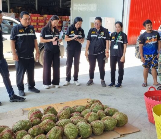 “มกอช ผนึกกำลัง กรมวิชาการเกษตร ลุยตรวจล้งทุเรียนจันทบุรีให้ปฏิบัติตาม มกษ 9070 ป้องกันทุเรียนอ่อนสู่ตลาดจีน”