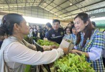ชู “ศพก.” กลไกสำคัญขับเคลื่อนเกษตรไทยรับโลกผันผวน เชื่อมองค์ความรู้ เทคโนโลยี นวัตกรรม สู่เกษตรกรในพื้นที