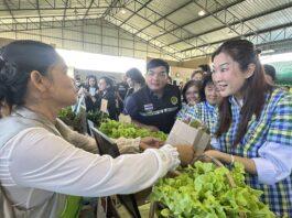 ชู “ศพก.” กลไกสำคัญขับเคลื่อนเกษตรไทยรับโลกผันผวน เชื่อมองค์ความรู้ เทคโนโลยี นวัตกรรม สู่เกษตรกรในพื้นที
