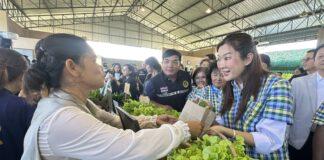 ชู “ศพก.” กลไกสำคัญขับเคลื่อนเกษตรไทยรับโลกผันผวน เชื่อมองค์ความรู้ เทคโนโลยี นวัตกรรม สู่เกษตรกรในพื้นที